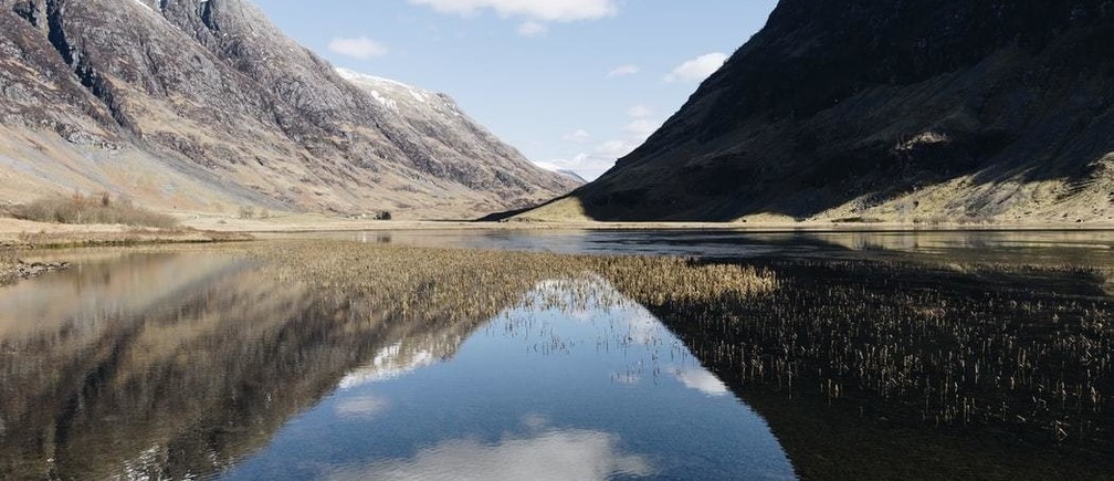 This Project Restored Biodiversity to Some of Scotlands Most Overfished Waters