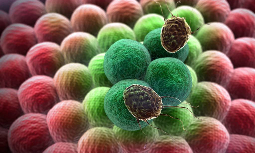 Scientists Discovered a Kill Switch That Destroys Any Cancer Cell