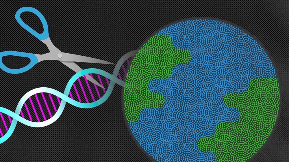 Mammoth Biosciences Aims to Be Illumina for the Gene Editing Generation