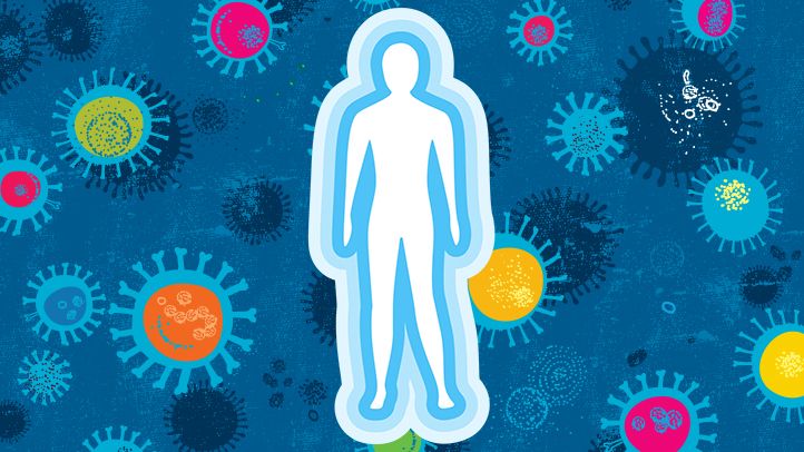 How Does Your Immune System Work?