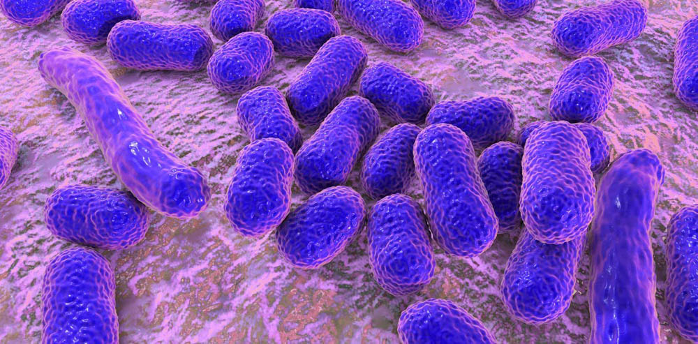 A Possible Solution to Antibiotic Resistance