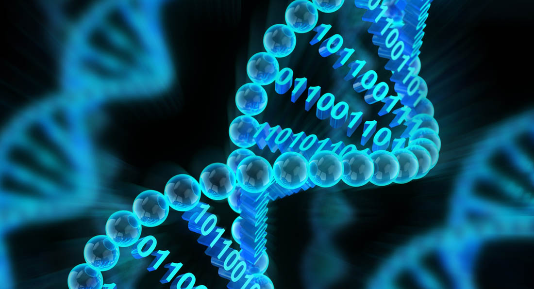 Scientists Can Now Store Digital Data in DNA With 100 Percent Accuracy