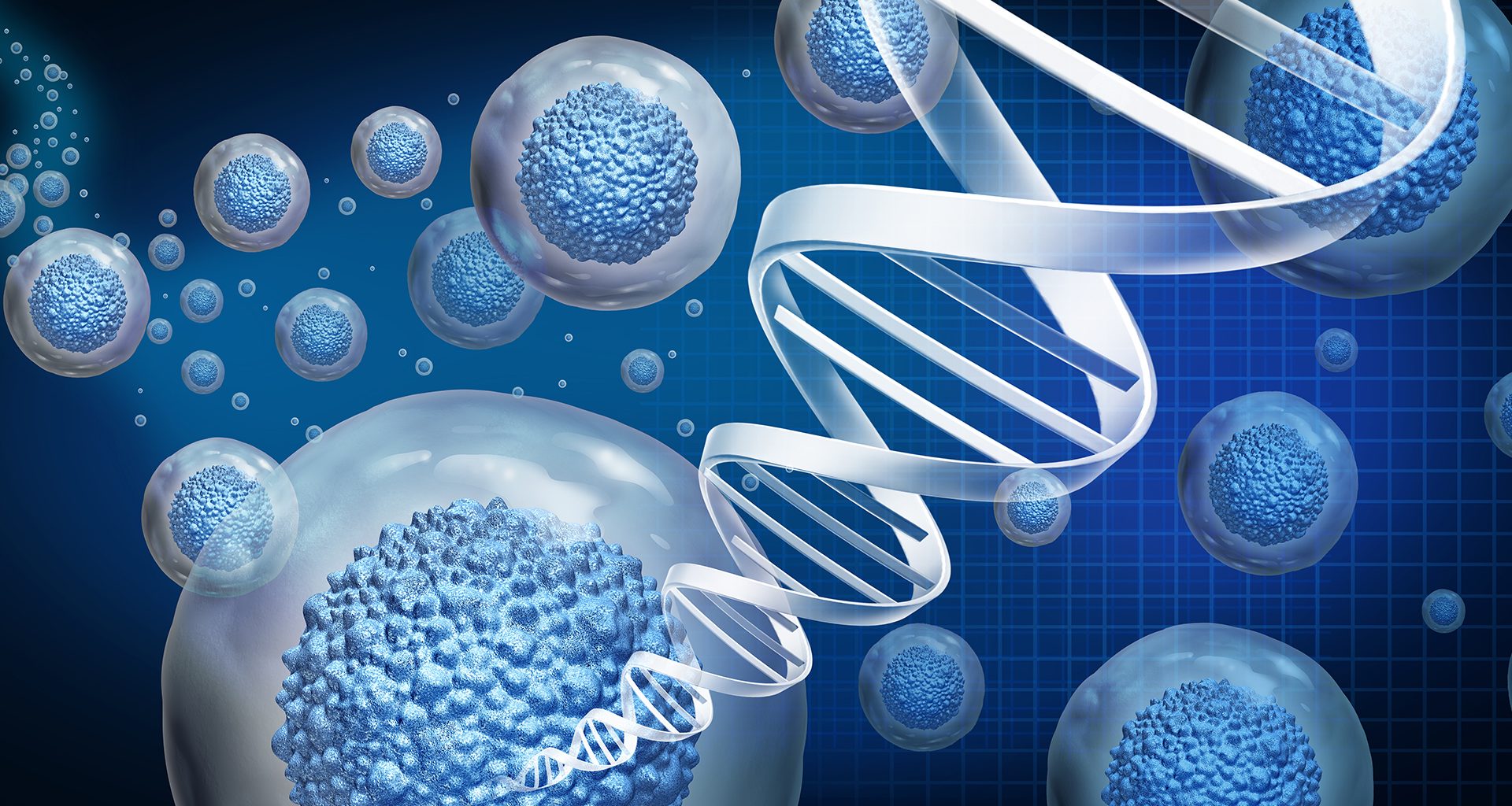 Regenerative Medicine: How Stem Cells and Tissue Engineering Are Shaping the Future of Healthcare