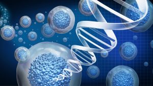 Regenerative Medicine: How Stem Cells and Tissue Engineering Are Shaping the Future of Healthcare