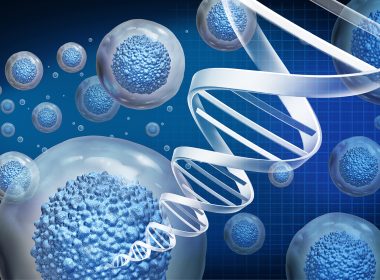 Regenerative Medicine: How Stem Cells and Tissue Engineering Are Shaping the Future of Healthcare