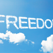 Freedom as a central category of philosophy