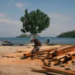 Building Resilience and Promoting Sustainable Development through Climate Security and Environmental Governance