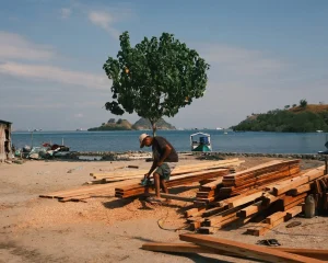 Building Resilience and Promoting Sustainable Development through Climate Security and Environmental Governance