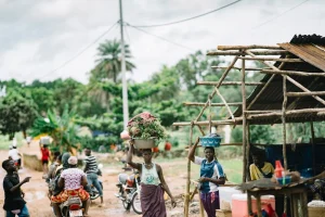 Building Resilient Communities: Strategies for Effective Emergency Management and Disaster Preparedness