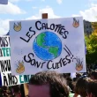 Climate Security and Sustainable Development: The Role of International Cooperation and Global