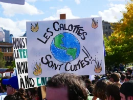 Climate Security and Sustainable Development: The Role of International Cooperation and Global