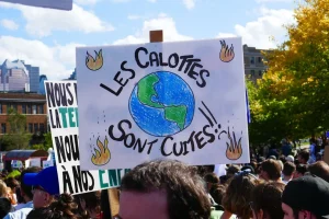 Climate Security and Sustainable Development: The Role of International Cooperation and Global