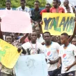 Strengthening Democratic Institutions through Transparency and Accountability: A Key to Ensuring Public