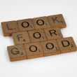 The Role of Transparency and Accountability in Ensuring Good Governance and Constitutional