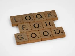 The Role of Transparency and Accountability in Ensuring Good Governance and Constitutional