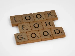 The Role of Transparency and Accountability in Ensuring Good Governance and Constitutional
